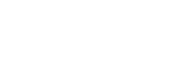 Walser Holding